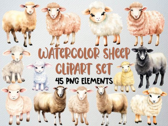 Download Watercolor Sheep Clipart Set, Lamb Png - Watercolor sheep Collection